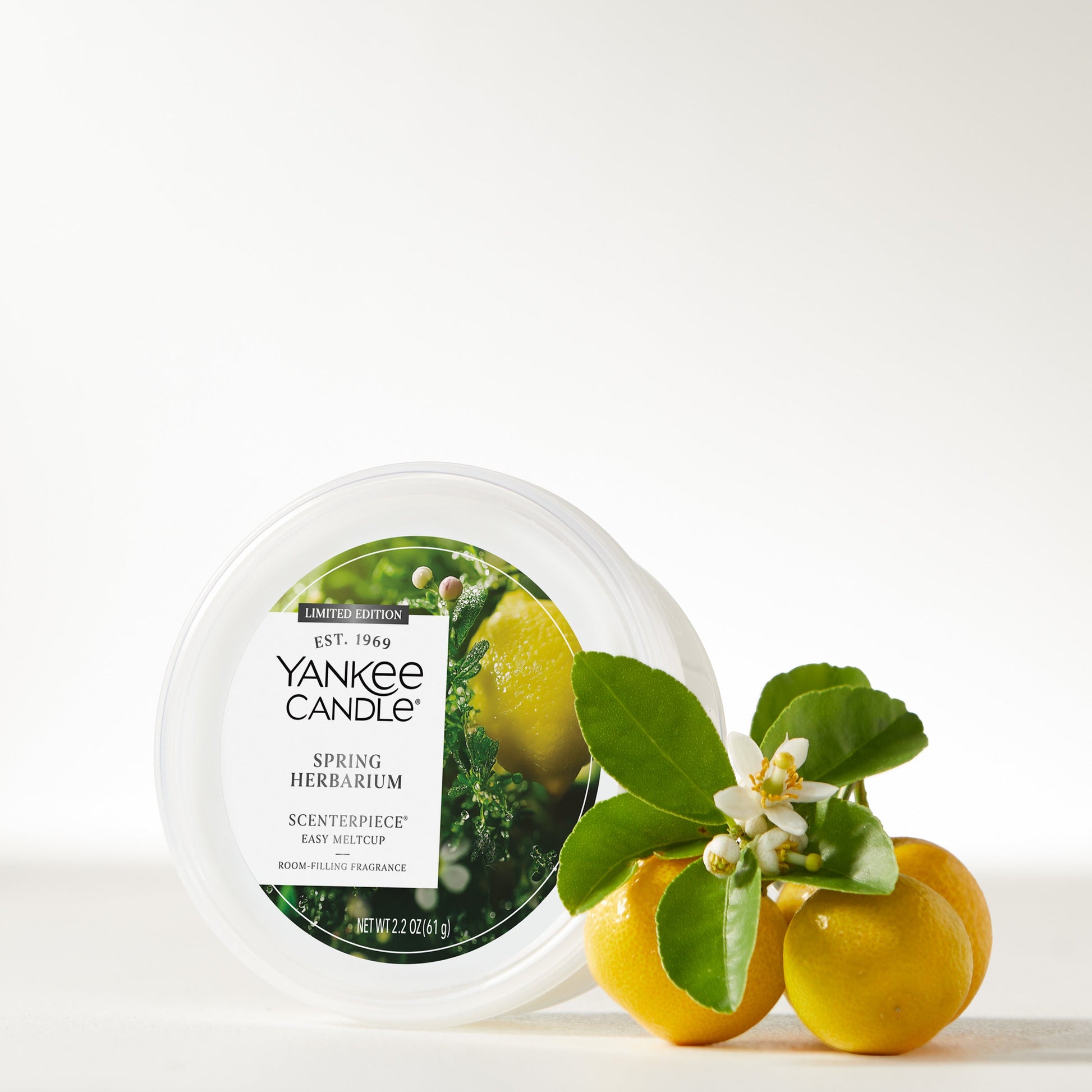 Spring Herbarium