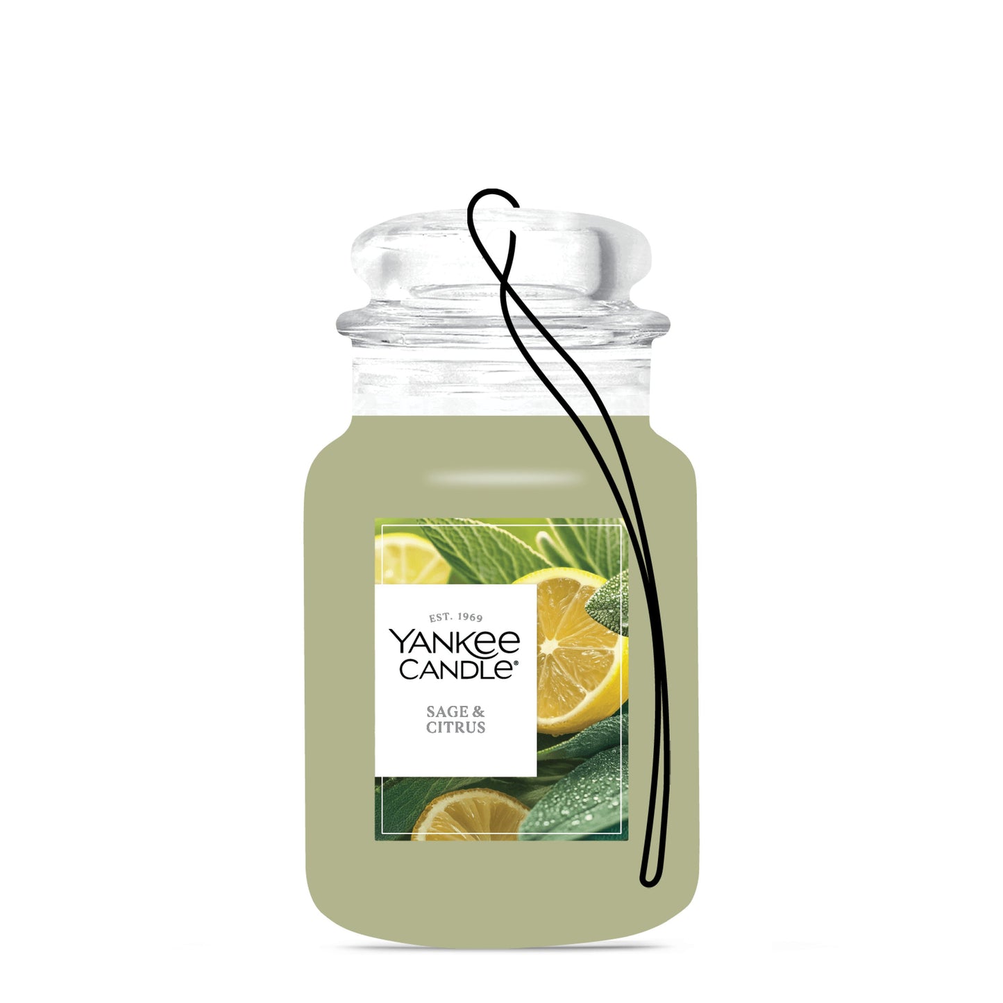 Sage & Citrus Wave 9-0662
